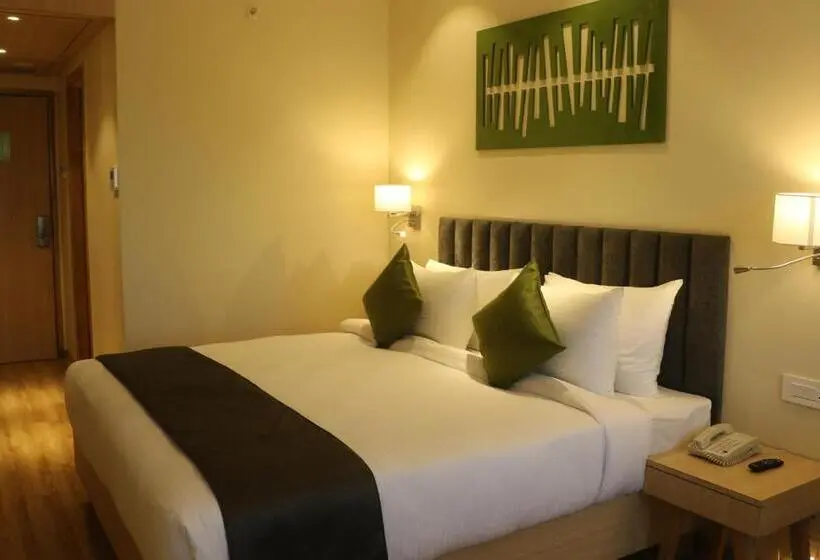 Habitación Deluxe, Regenta Central Harsha Vapi