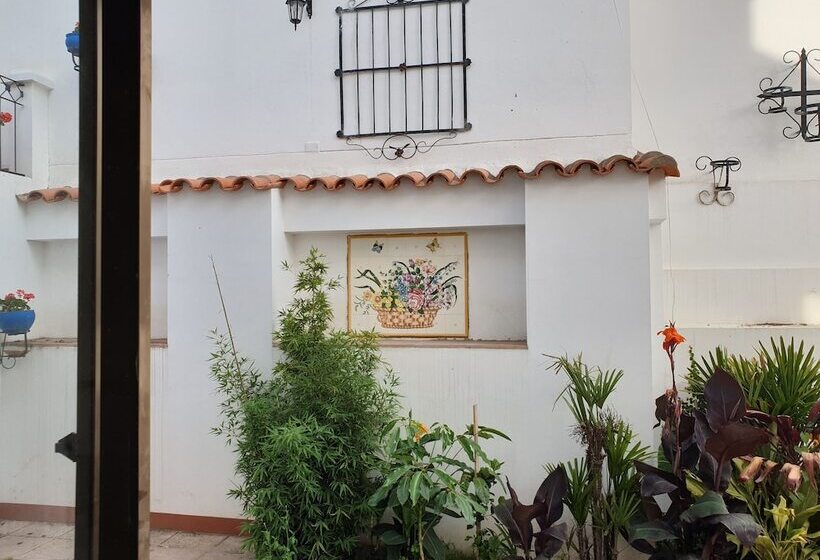 اتاق سوپریور, El Jardin De Su Merced B&b