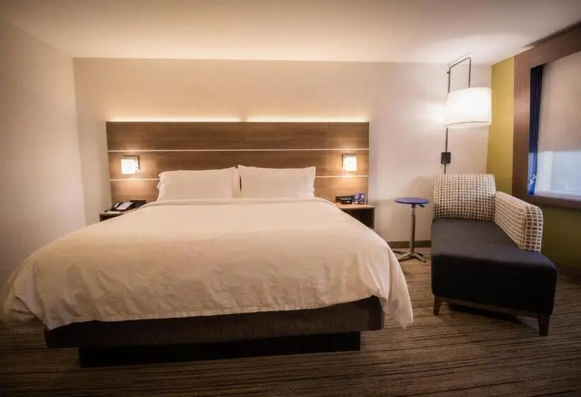 キングサイズベッドのスタンダードルーム, Holiday Inn Express & Suites Boston South Randolph, An Ihg