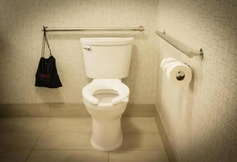 身障者適用スイートルーム, Holiday Inn Express & Suites Boston South Randolph, An Ihg