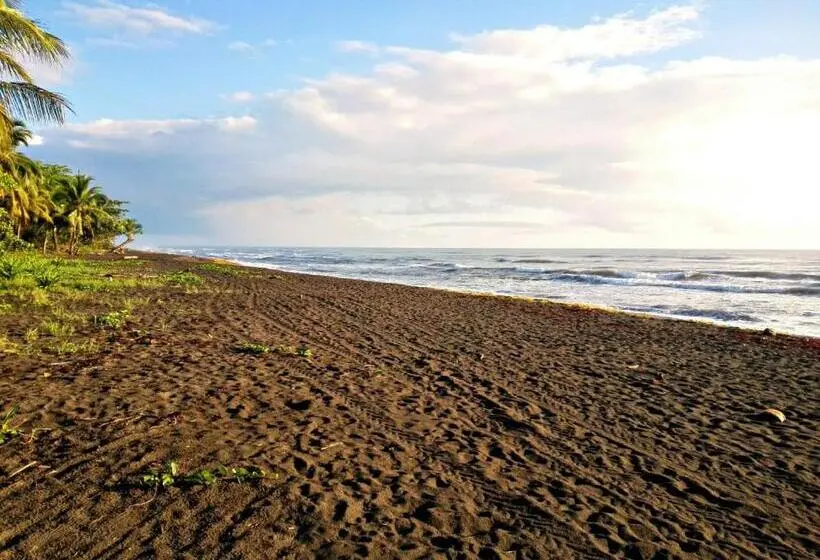 Talo 1 Makuuhuone, Casa Turtle Bogue