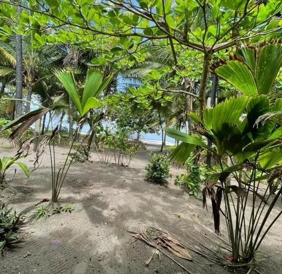Talo 1 Makuuhuone, Casa Turtle Bogue