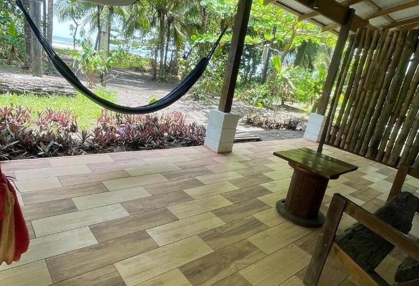 اتاق استاندارد, Casa Turtle Bogue