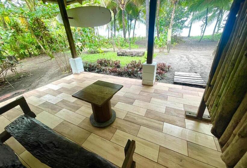 اتاق استاندارد, Casa Turtle Bogue