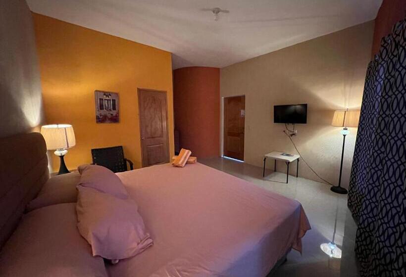 اتاق استاندارد, Aparthotel Vista Lago