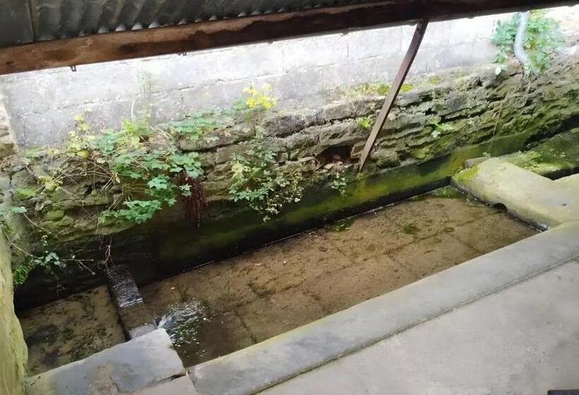 身障者適用スタンダードルーム, La Bergerie