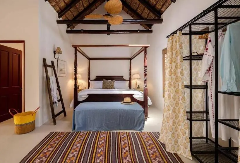 Standard-studio, Yellowtail Finca