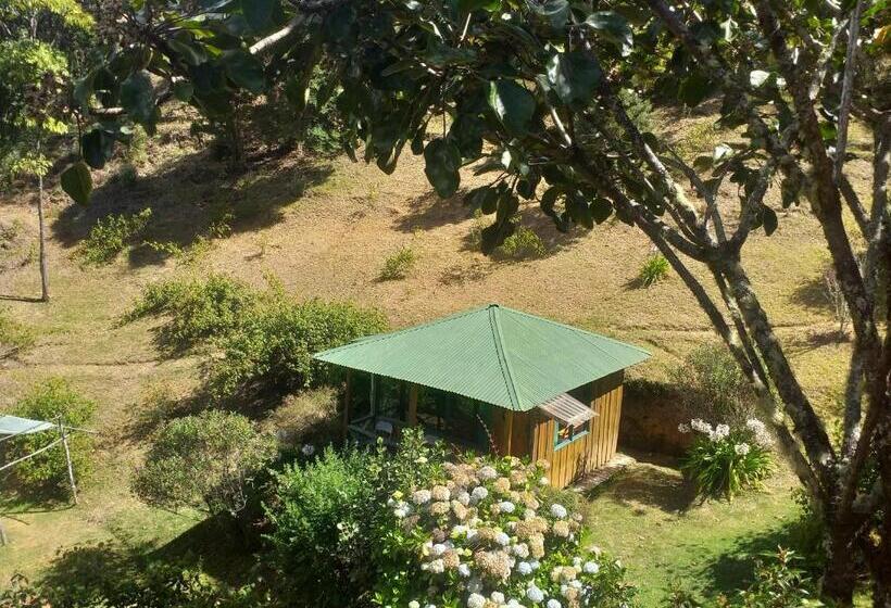 חדר לארבעה סטנדרטי עם מרפסת, Las Cataratas Lodge