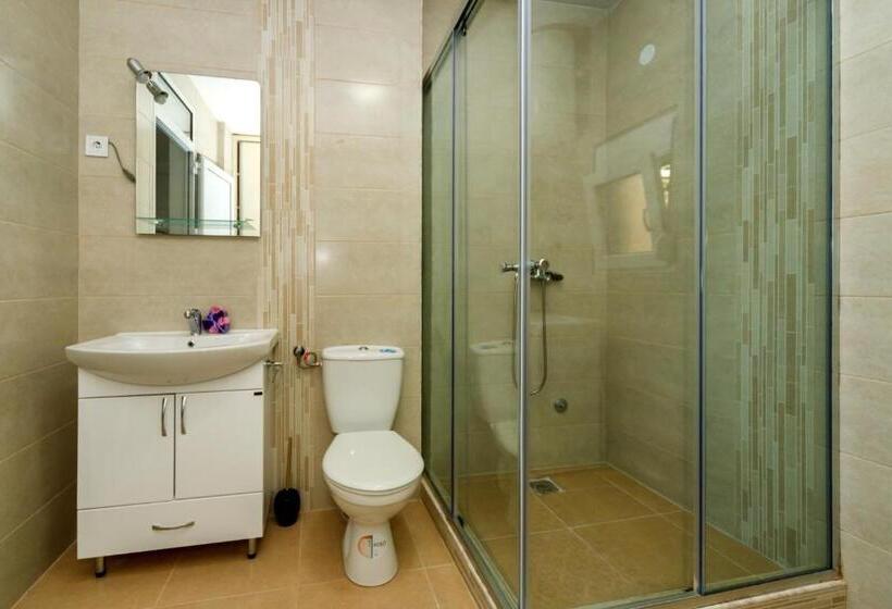 آپارتمان 1 خوابه با بالکن, Apartments Old House Pajovic