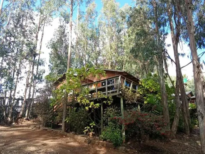 ファミリールーム, Hacienda Ecuestre
