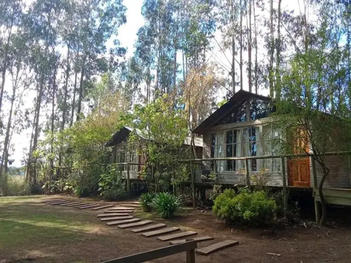 バルコニー付スタンダード４ベッドルーム, Hacienda Ecuestre
