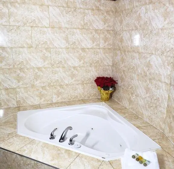 Sviitti King-vuode, Regency Inn & Suites