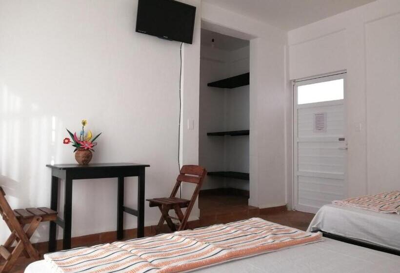 스탠다드 룸, Tiktaalik