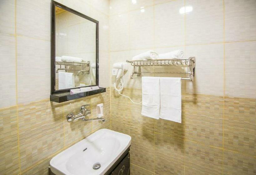 غرفة ديلوكس, Grape Village