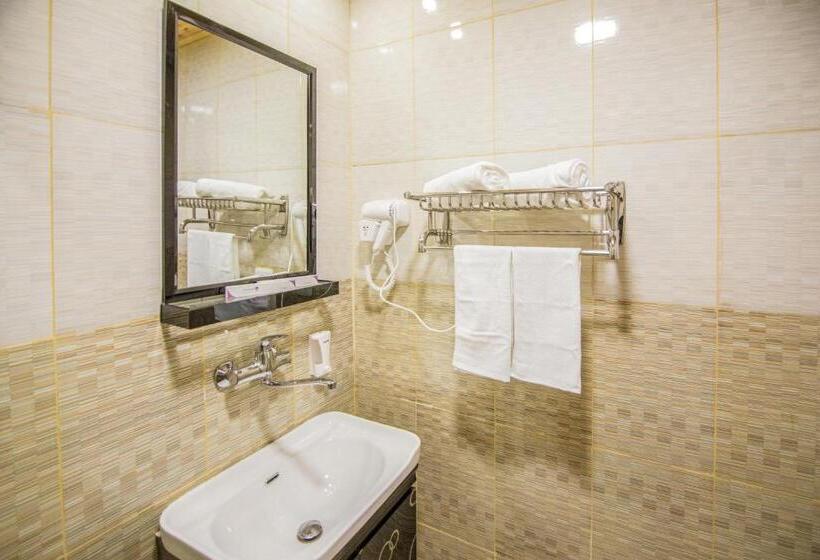 غرفة ديلوكس, Grape Village