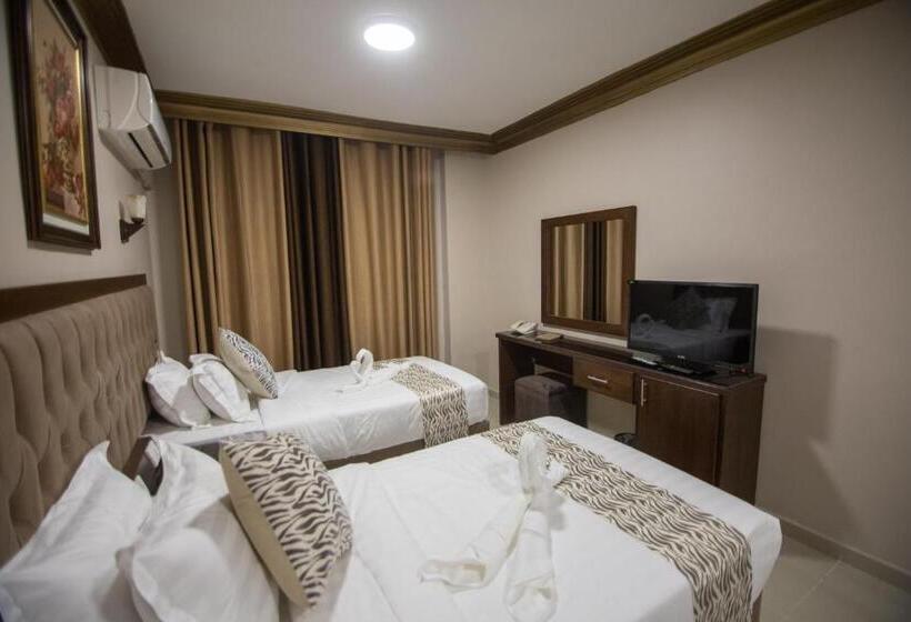 غرفة ديلوكس, Grape Village