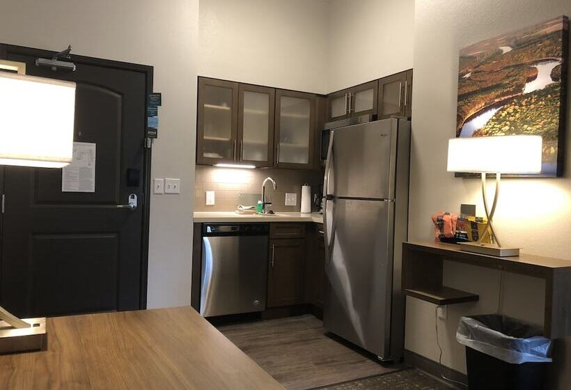 스탠다드 스튜디오, Staybridge Suites   Wisconsin Dells   Lake Delton, An Ihg