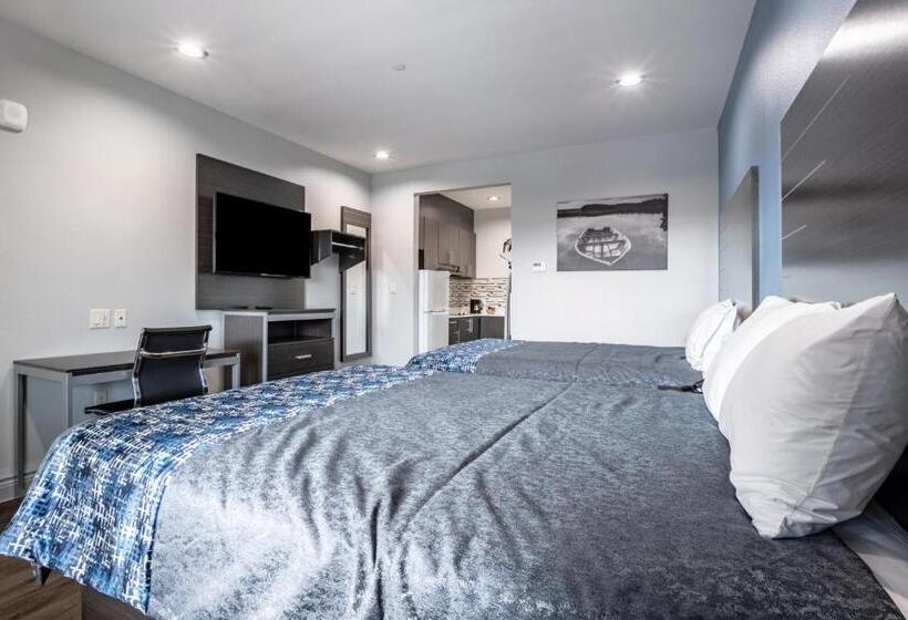 اتاق استاندارد, Scottish Inn Katy