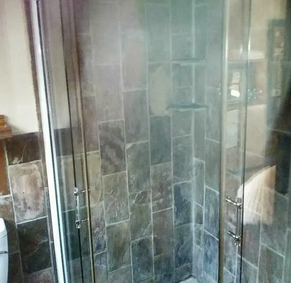 ベーシックトリプルルーム, Woodpecker Guesthouse Middelburg Mpumalanga