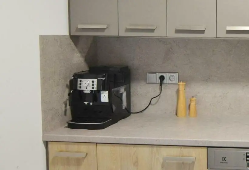 اتاق استاندارد چهار تخته, Apartmány Málek