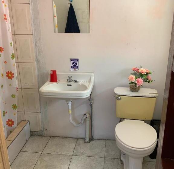 Standard Szoba, Hostal Rock Quito