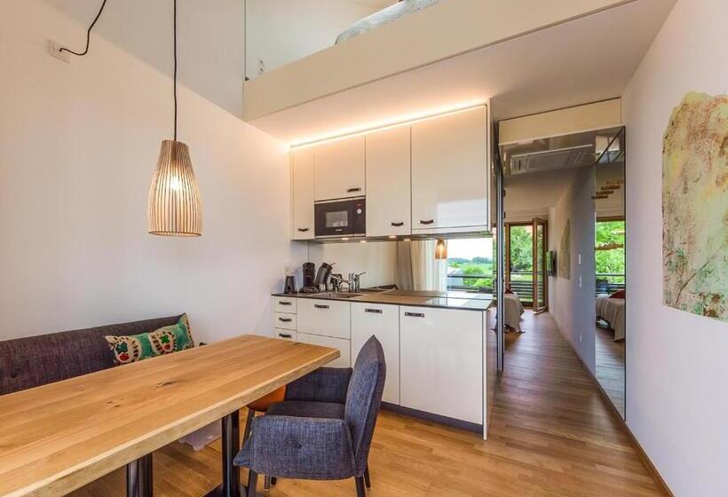 Апартаменты 1 Спальня с Балконом, Ferienwohnungen Boardinghouse Bodensee
