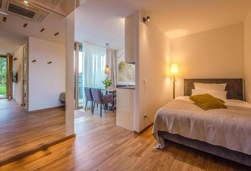 Апартаменты Superior 1 Спальня, Ferienwohnungen Boardinghouse Bodensee