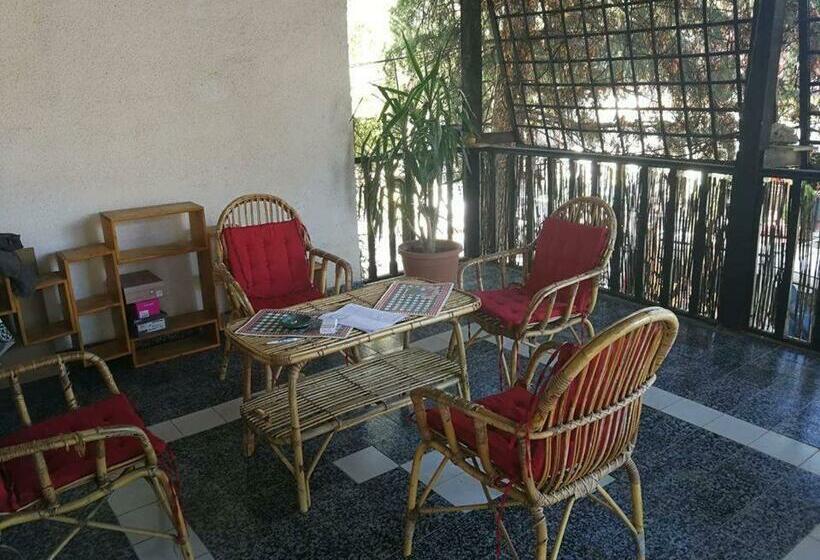 اتاق لوکس سه تخته, Hostel Emi