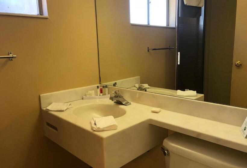 חדר סטנדרט עם מיטת קינג, Elevation