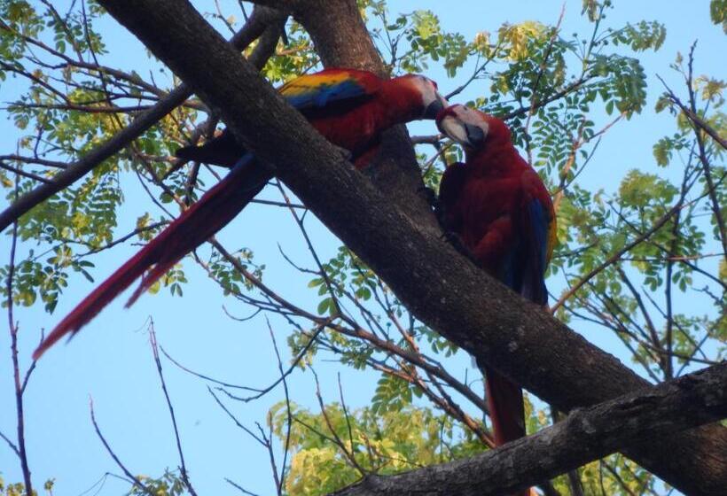 1침실 빌라 바다전망, Casa Federico