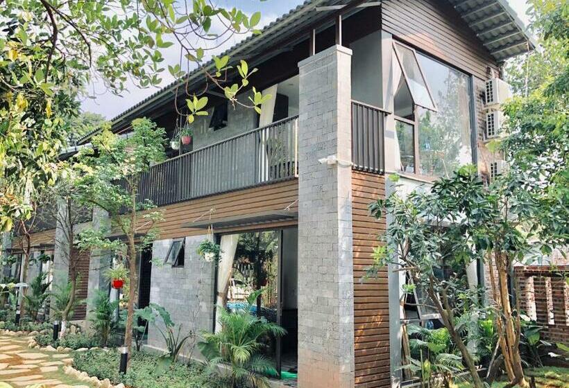 اتاق لوکس خانوادگی, King Kong Homestay