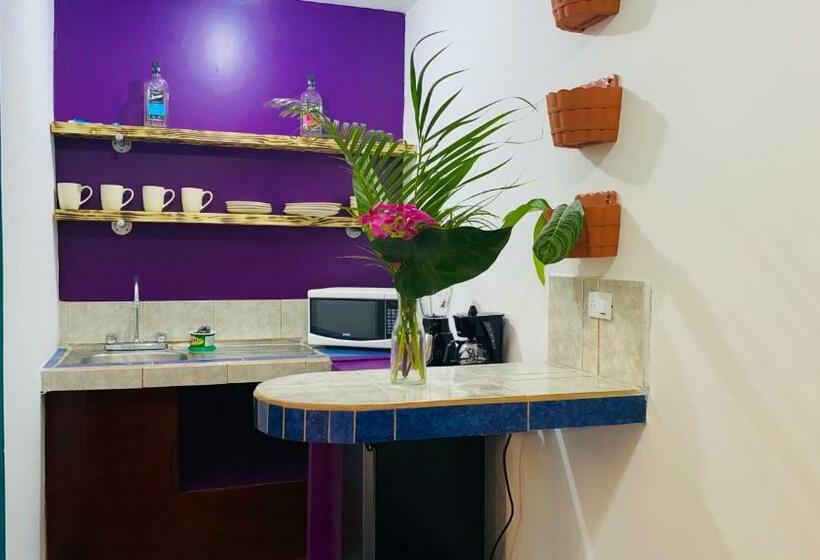 スタンダードスタジオ, Nomada S Digital