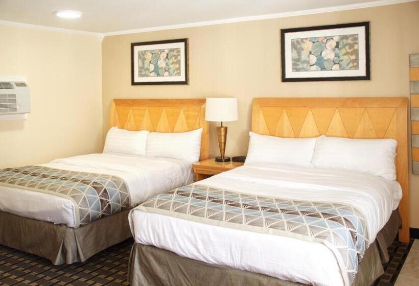 标准间, Mount Royal Inn