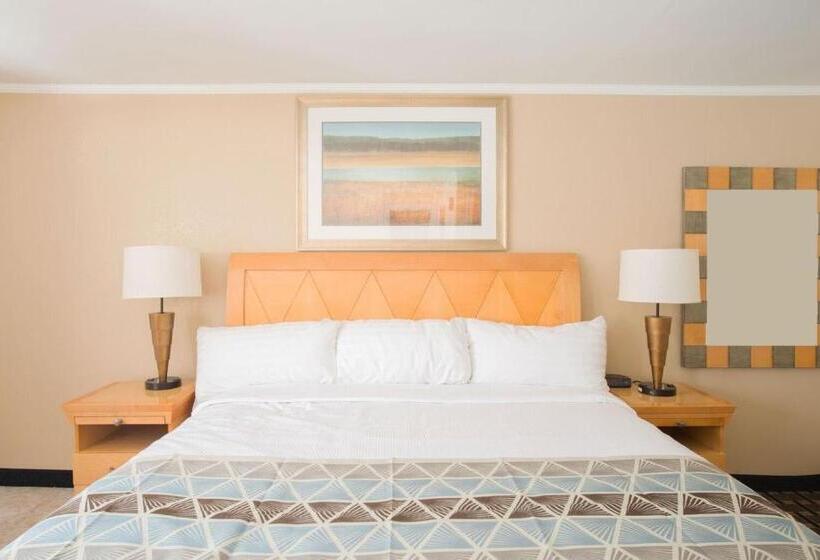 带大床的标准间, Mount Royal Inn