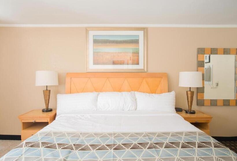 스탠다드 룸 킹사이즈 침대, Mount Royal Inn