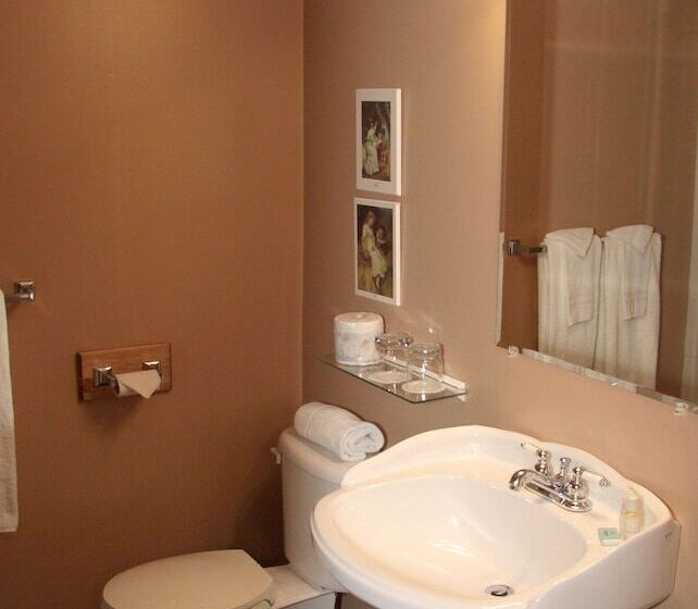 غرفة قياسية سرير مزدوج, Manoir D'orsennens