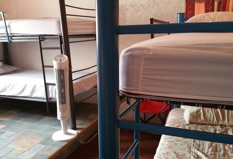 家庭间, Hostel Enjoy Vallarta 19