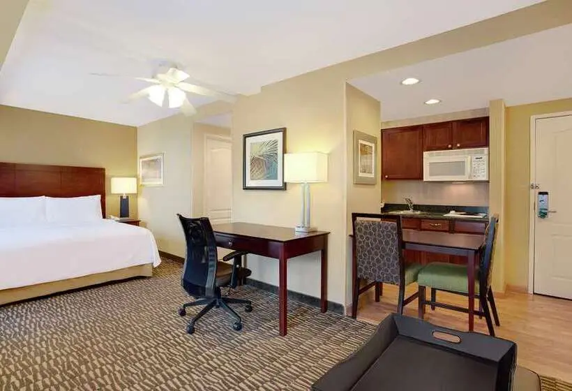 キングサイドベッドのスタンダードワンルーム, Home2 Suites By Hilton San Antonio At The Rim
