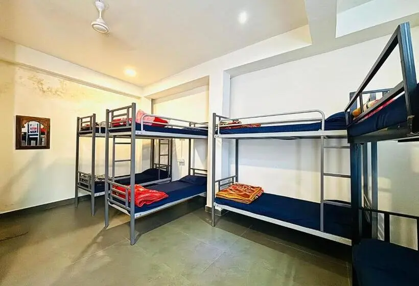 Geteiltes Mehrbettzimmer, Trip In Hostel