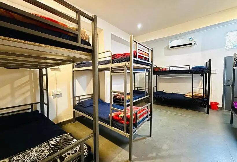 Geteiltes Mehrbettzimmer, Trip In Hostel
