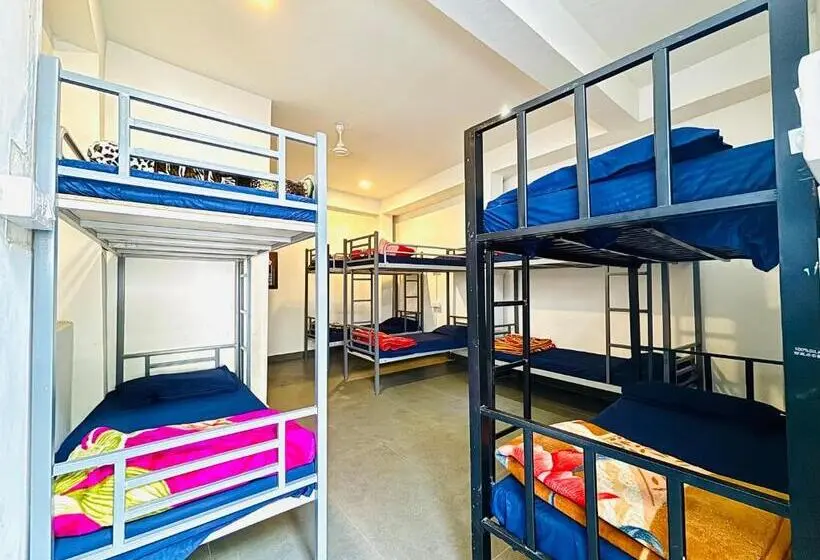 Geteiltes Mehrbettzimmer, Trip In Hostel