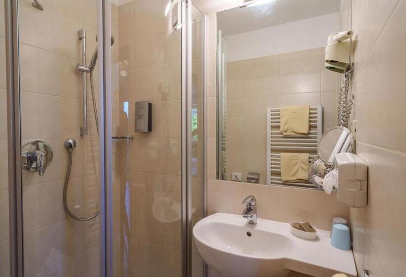 غرفة قياسية مطلة على الجبل, Törggelehof