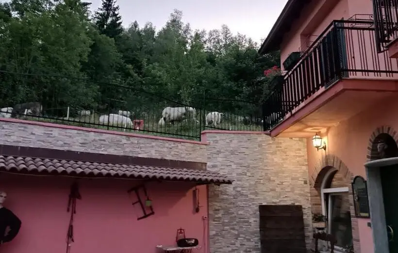 キングサイズベッドのデラックスルーム, B&b Casa Dell'orso