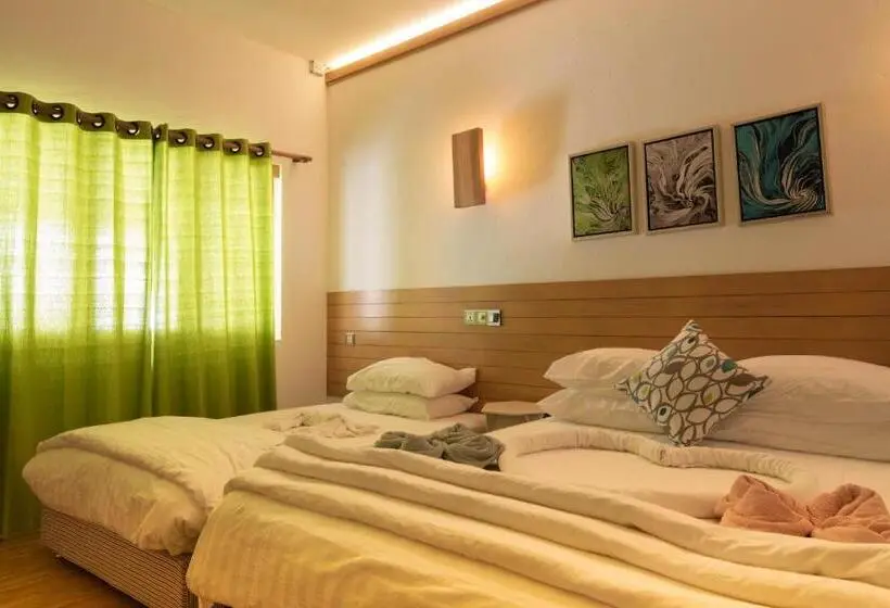 بانگلوی لوکس, Trip Villa