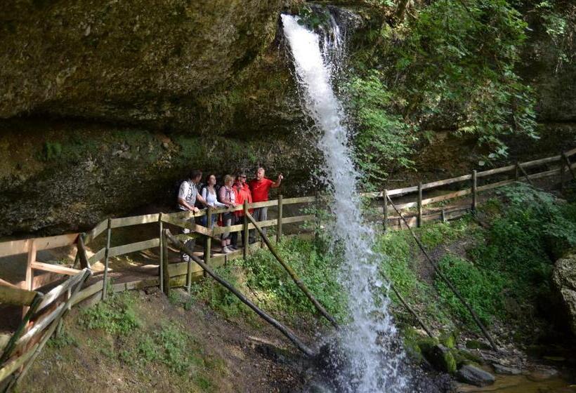 スタンダードシングルルーム, Alpenrose Gut Schlafen & Frühstücken