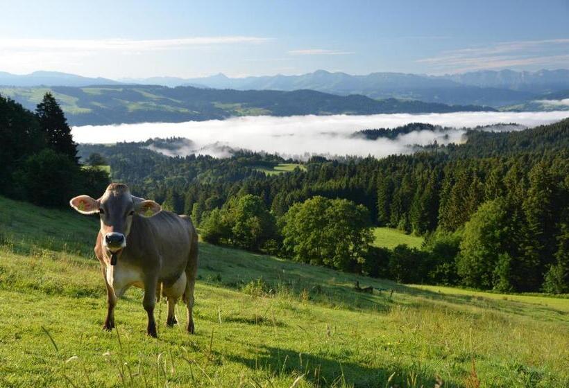 Номер Superior, Alpenrose Gut Schlafen & Frühstücken