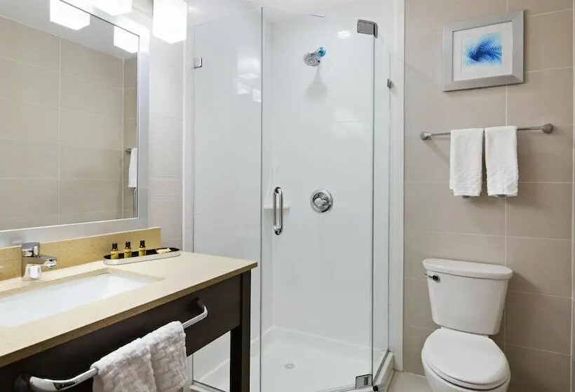 اتاق استاندارد با تخت دوبل, Best Western Plus Stadium Inn