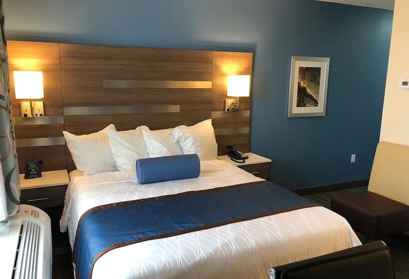 غرفة قياسية سرير مزدوج, Best Western Plus Stadium Inn