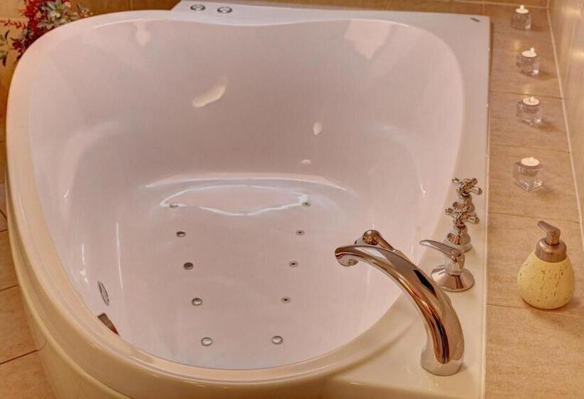 اتاق استاندارد با تخت بزرگ, Birdie Pension & Wellness