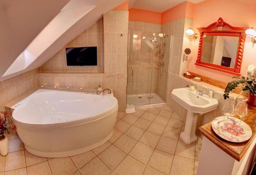 اتاق استاندارد با تخت بزرگ, Birdie Pension & Wellness